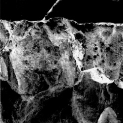 Scanning Electron Microscope image of fractured cast steel part